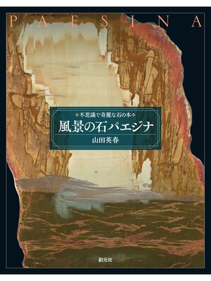 cover image of 風景の石 パエジナ